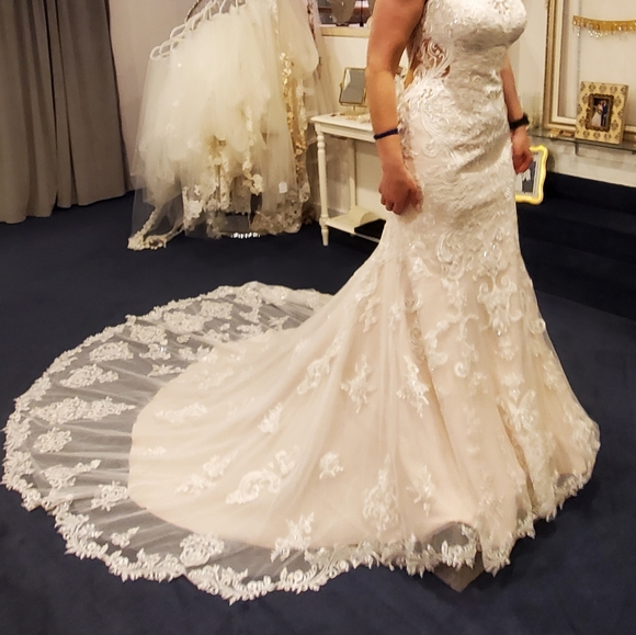 Wedding Dress - Picture 9 of 16